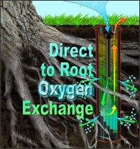 Direct to root oxygen exchange - Rootwell Tree Watering Bag Alternatives