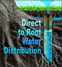 Direct to root water distribution - Tree Root Watering System