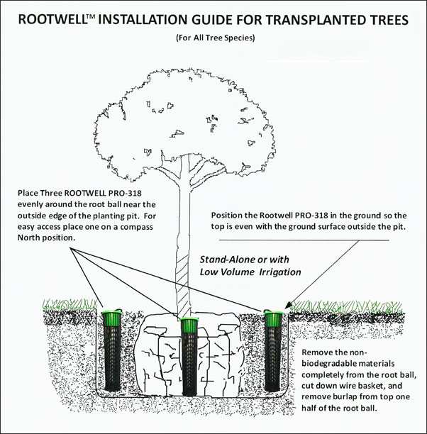 Rootwell's installation guide transplanted trees