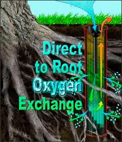 Direct to root oxygen exchange root feeder