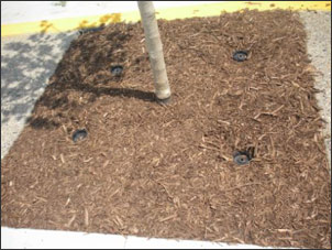 Sidewalk tree plantings with Rootwell Pro-318s