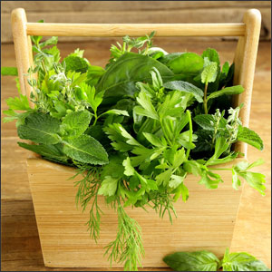 3 Amazing Herbs to Grow Indoors in Containers