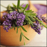 4 Facts About Lavender