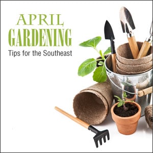 April gardening tips Southeast