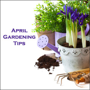 April gardening tips Midwest and Mountain