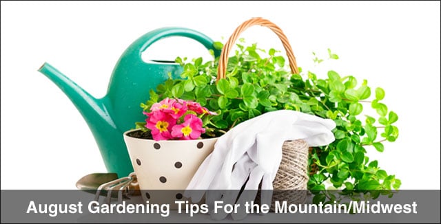 August Gardening Tips For the Mountain/Midwest