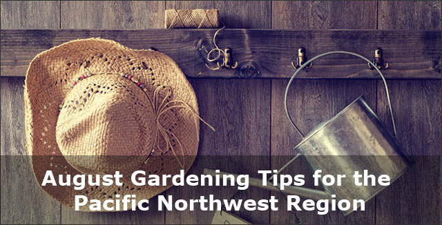 August gardening tips Pacific Northwest