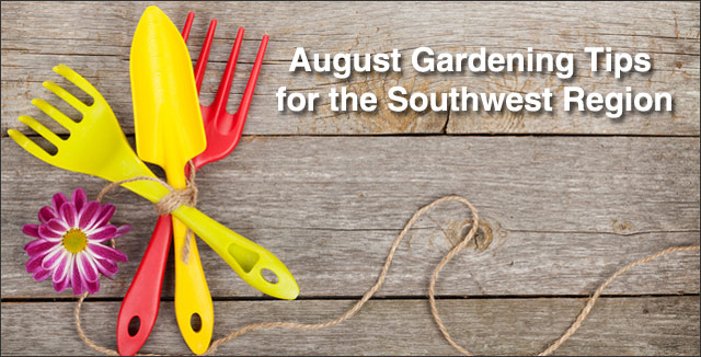 August Gardening Tips for the Southwest Region