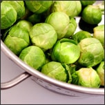 Brussel-Sprouts