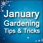 January Gardening Tips & Tricks