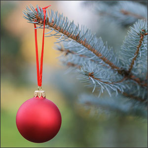 MichiganBlueSpruce - Deep Root Aeration Tubes | Rootwell Michigan Blue Spruce