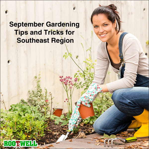 September Gardening Tips and Tricks for Southeast Region