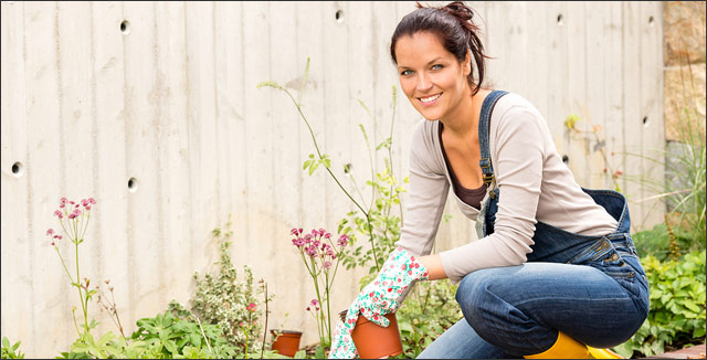 September Gardening Tips and Tricks for Southeast Region