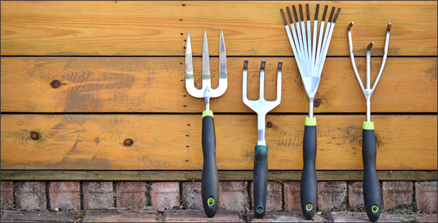 September Gardening Tips for the Southwest