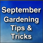 September Gardening Tips & Tricks