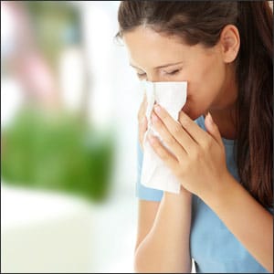 Top Plants for Allergy Sufferers