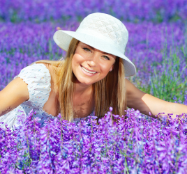 Field of lavender