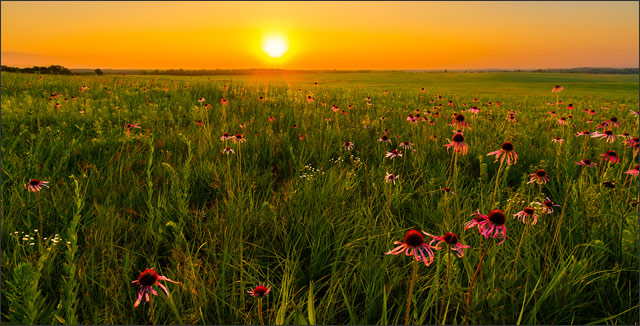 American prairies