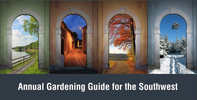 Annual gardeing guide for the Southwest