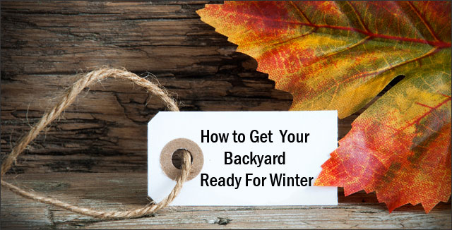 How to Get Your Backyard Ready For Winter