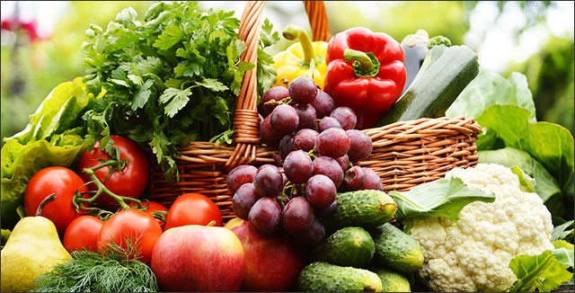 Garden vegetables in basket
