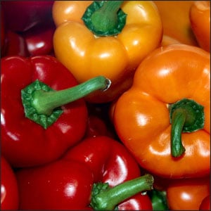 How to Grow Amazing Bell Peppers for Your Family