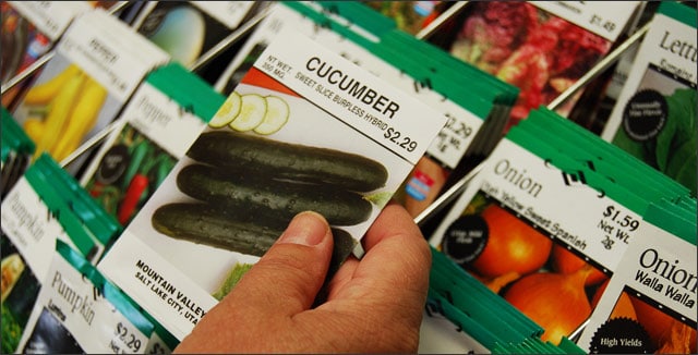 What You Need To Know About Buying Seeds