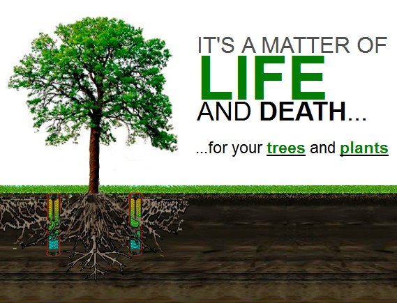 It's a matter of life and death for your trees and plants