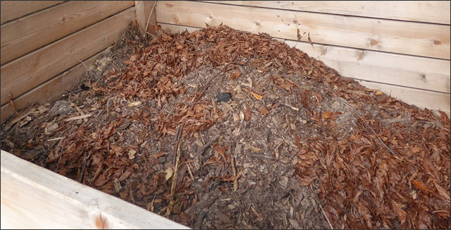 Compost Piles: What You Need To Know