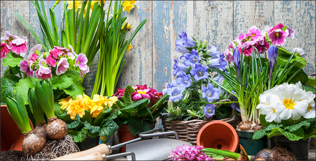 7 Easy To Do Money Saving Gardening Tips