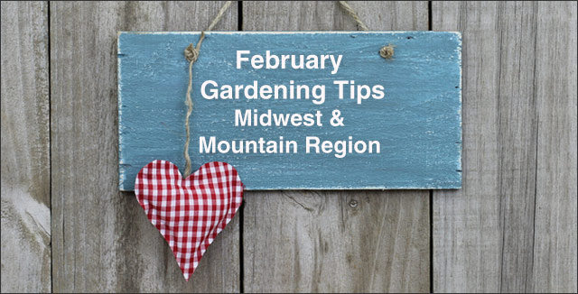 February Gardening Tips for the Midwest & Mountain Region
