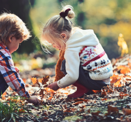 Forest schools