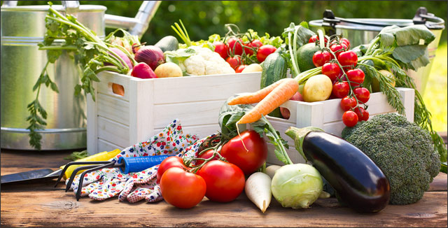 Fresh vegetables