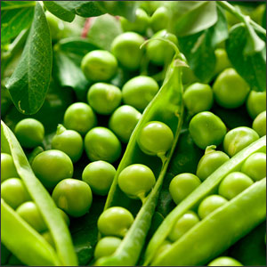 How to grow peas organically