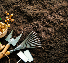 Garden tools and seeds depicting growing food