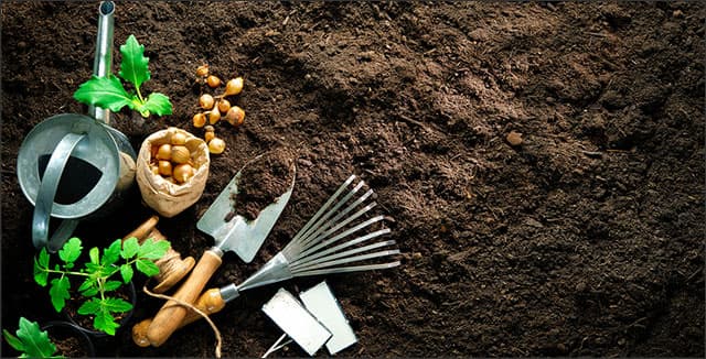 Garden tools and seeds depicting growing food