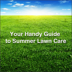 Your Handy Guide to Summer Lawn Care