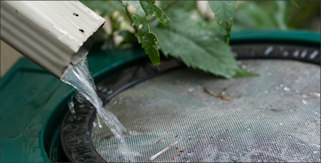 How to harvest rainwater for reuse