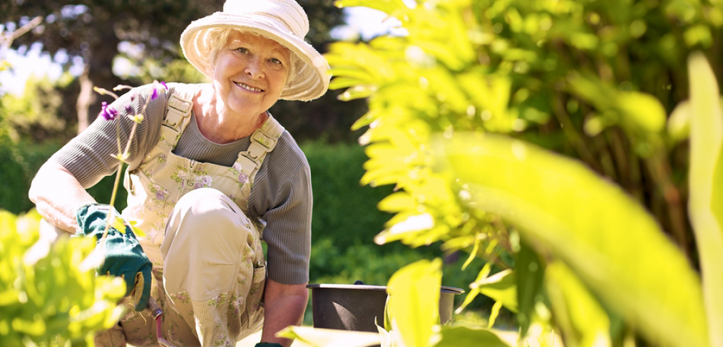 Elderly woman gardening depicting Horticultural Therapy