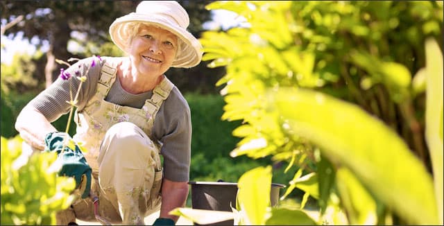 Elderly woman gardening depicting Horticultural Therapy