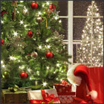 How to hang Christmas tree lights