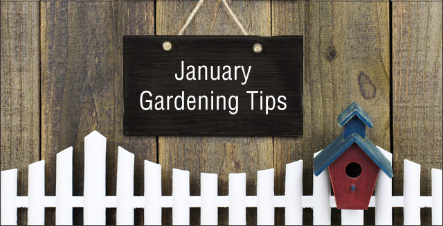January Gardening Tips for the Pacific Northwest Region
