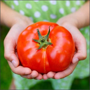 June Gardening Tips for the Southeast