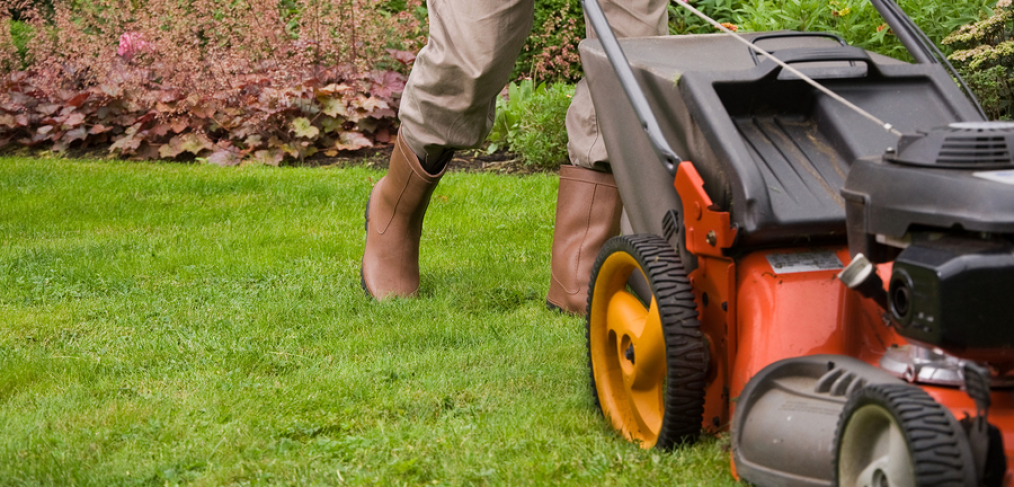 Lawn care strategies