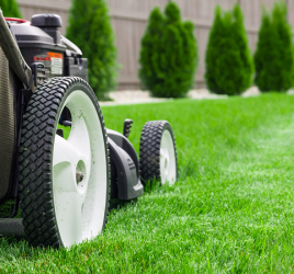 Lawn care tips