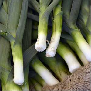 How To Grow Leeks at Home Organically