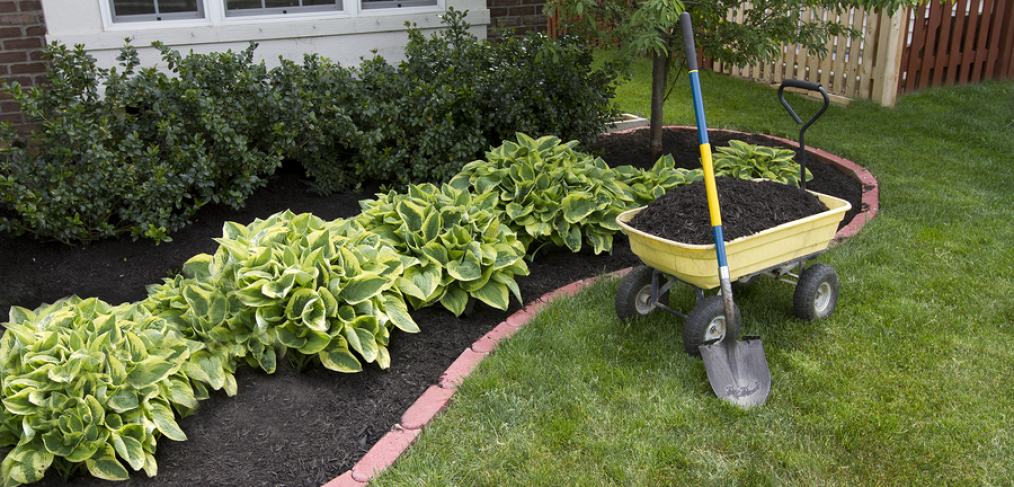 Low maintenance garden