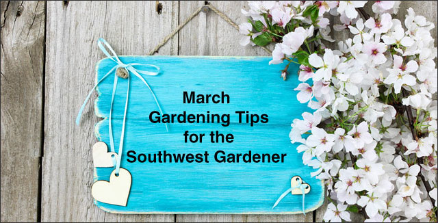 March Gardening Tips for the Southwest Gardener