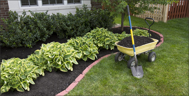 5 Benefits to Adding Mulch to Your Yard