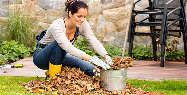 November Gardening Tips for the Pacific Northwest